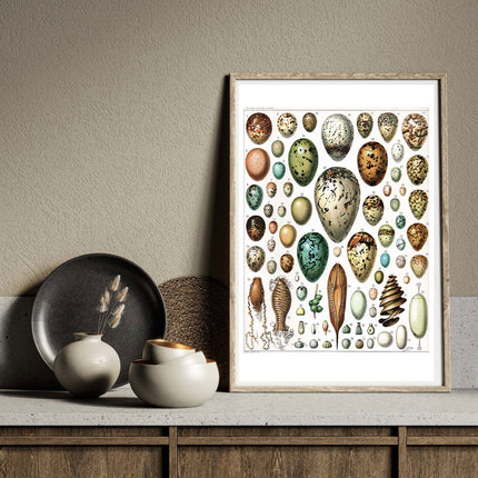 Collection image for: Adolphe Millot