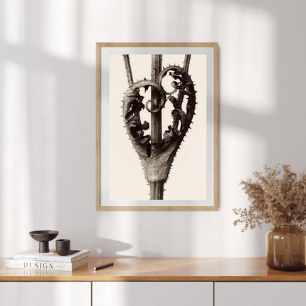 Collection image for: Karl Blossfeldt