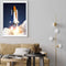 Space and Galaxy