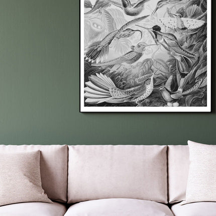 Collection image for: Living Room
