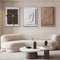 Decorative Objects