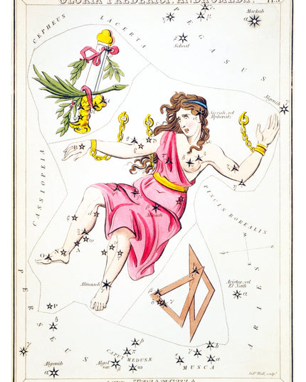 Gloria Frederici, Andromeda, and Triangula