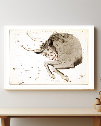 Taurus