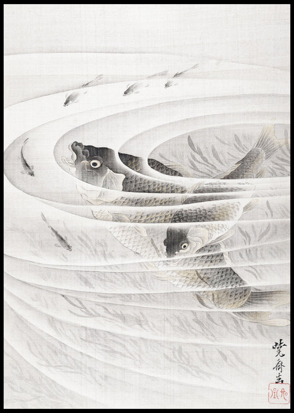 Fish in a Whirlpool