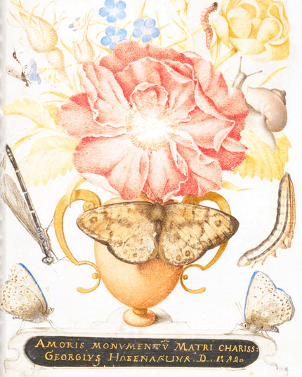 Still Life with Flowers, a Snail and Insects