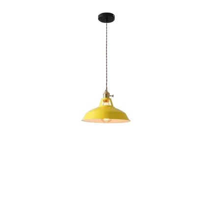 Retro Pendants Lampshade