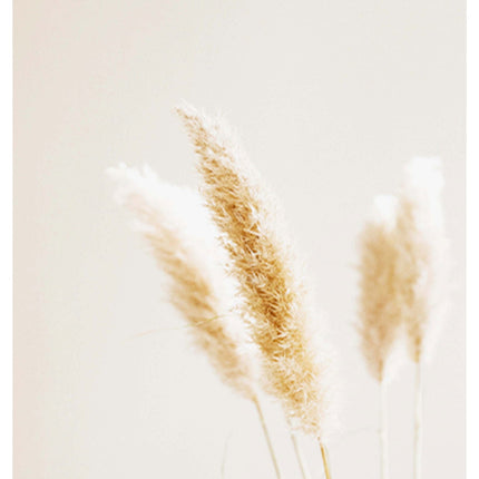 Abstract Beige Poster