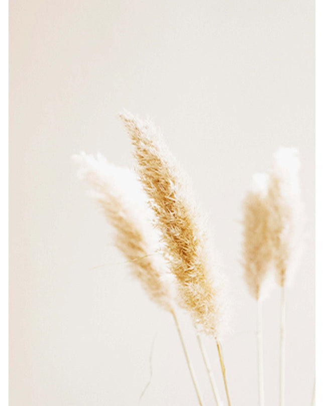 Abstract Beige Poster