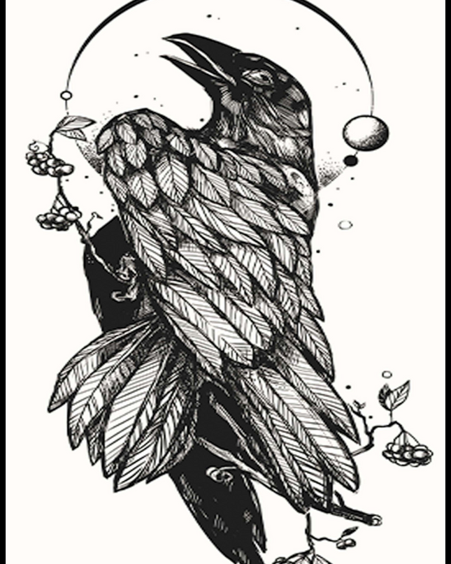 Abstract Birds Line Art Poster