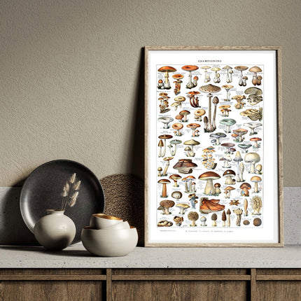 Adolphe Millot - Champignons Poster