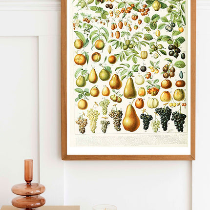 Adolphe Millot - Fruits III Poster