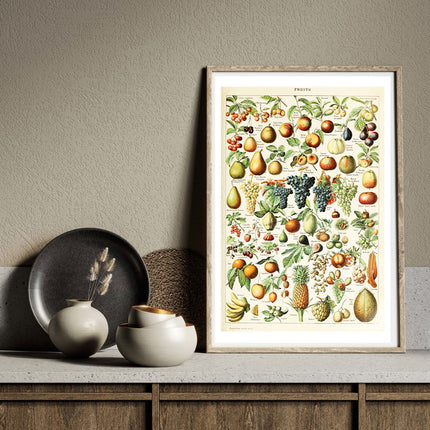 Adolphe Millot - Fruits I Poster
