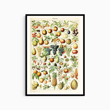 Adolphe Millot - Fruits I Poster