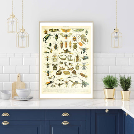Adolphe Millot - Insectes II Poster
