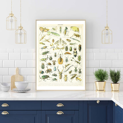 Adolphe Millot - Insectes I Poster