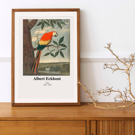 Albert Eckhout - Arara Poster