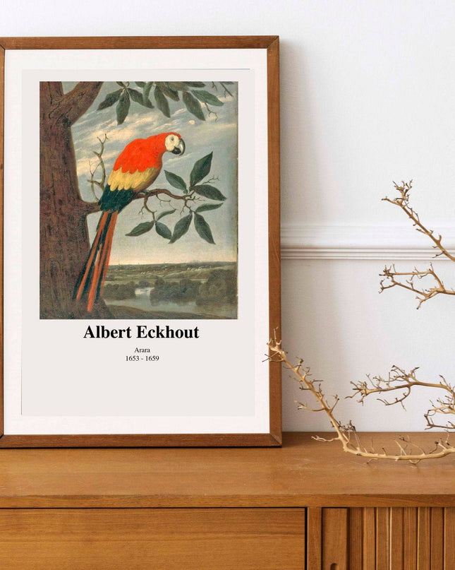 Albert Eckhout - Arara Poster