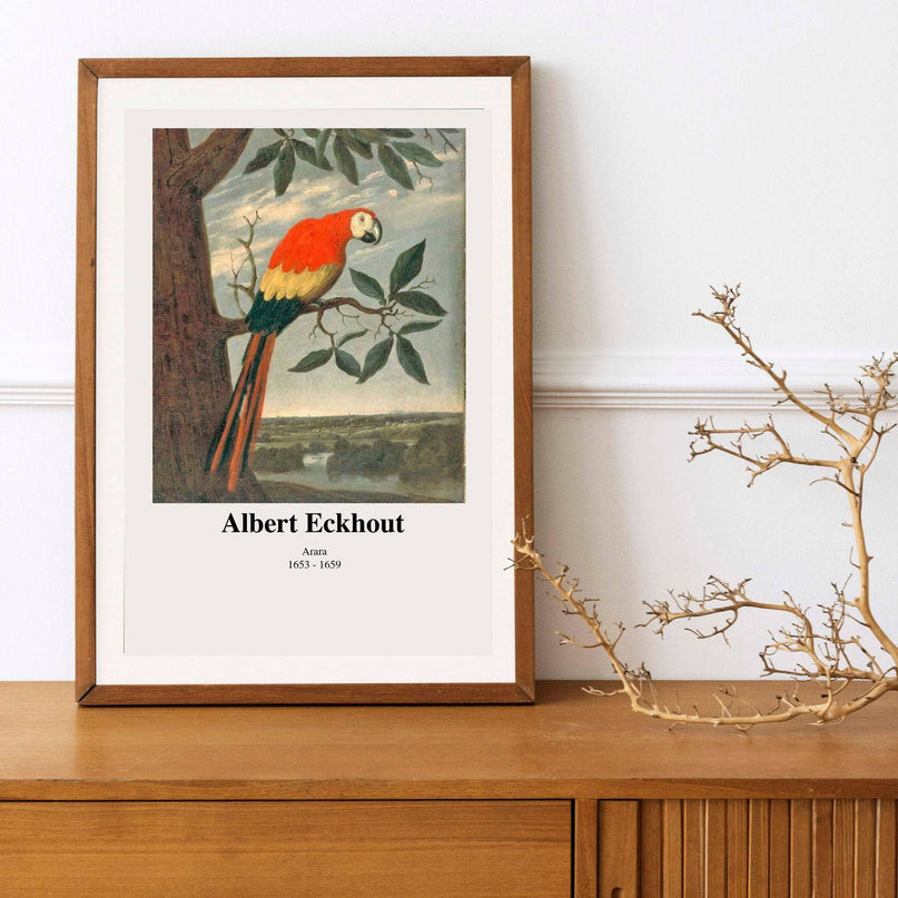 Albert Eckhout - Arara Poster