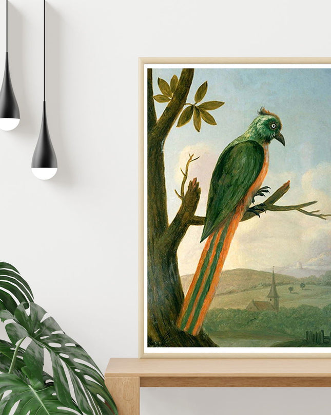 Albert Eckhout - Blauscheitelmotmot