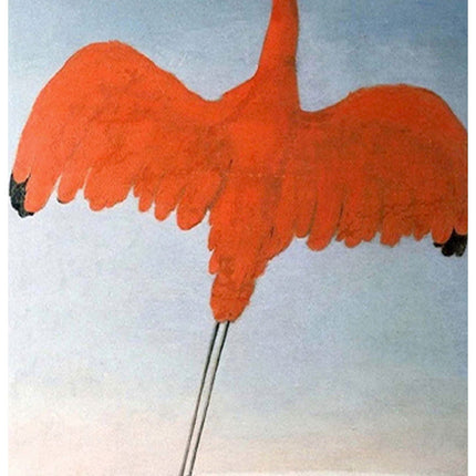 Albert Eckhout - Guara