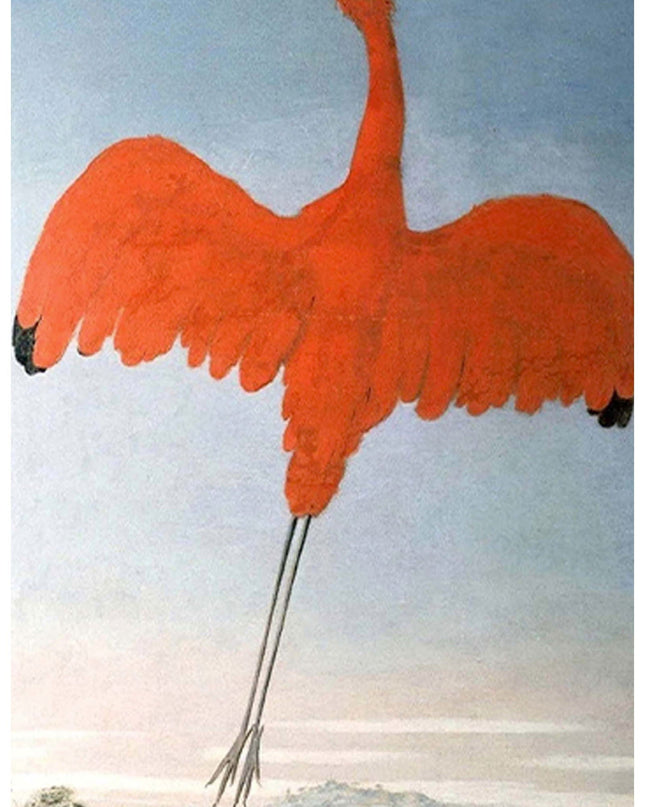 Albert Eckhout - Guara
