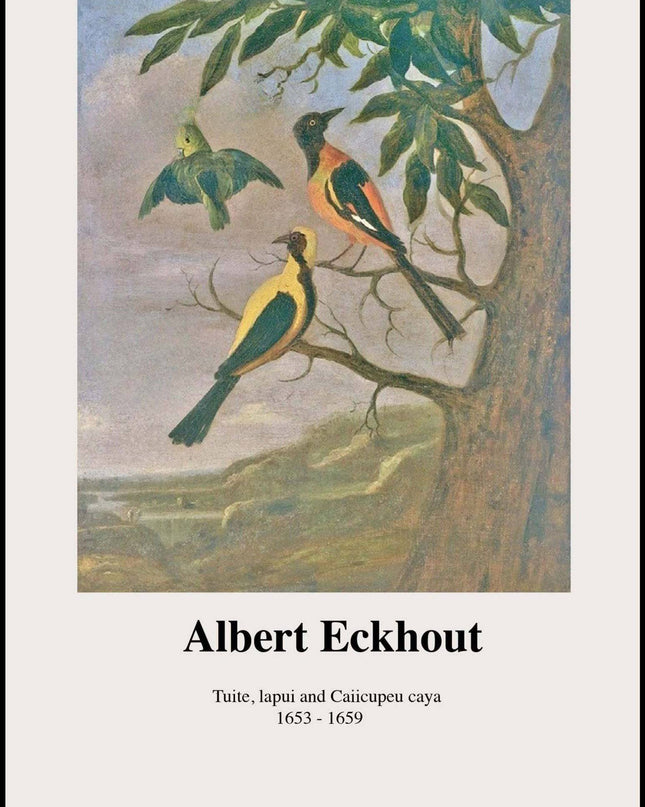 Albert Eckhout - Tuite, Iapui und Caiicupeu caya Poster