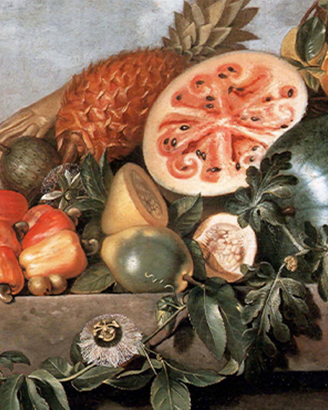 Albert Eckhout - Watermelon, Pineapple and Other Fruits