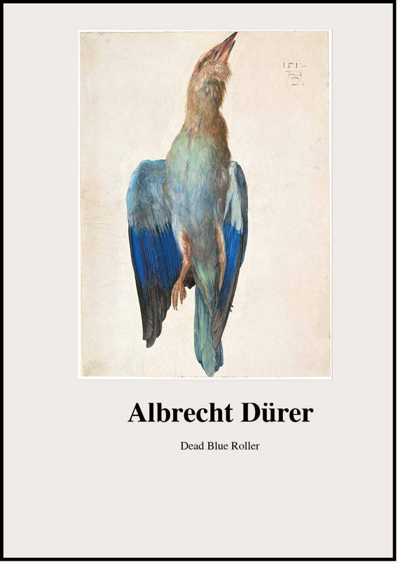 Albrecht Dürer - Dead Blue Roller Poster