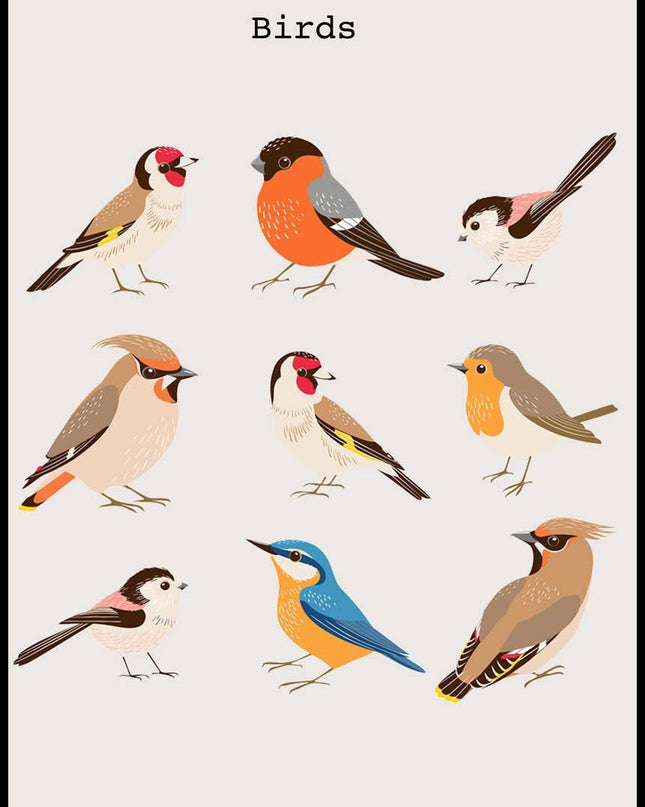 Birds Poster No 2