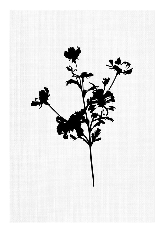 Black and White Pressed Flower No1