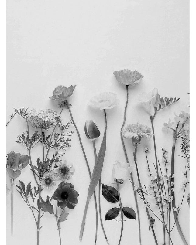 Black and White Pressed Flowers Poster
