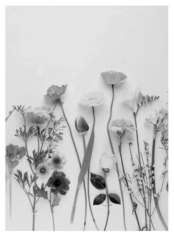Black and White Pressed Flowers Poster