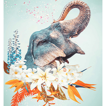 Blue Elephant Poster
