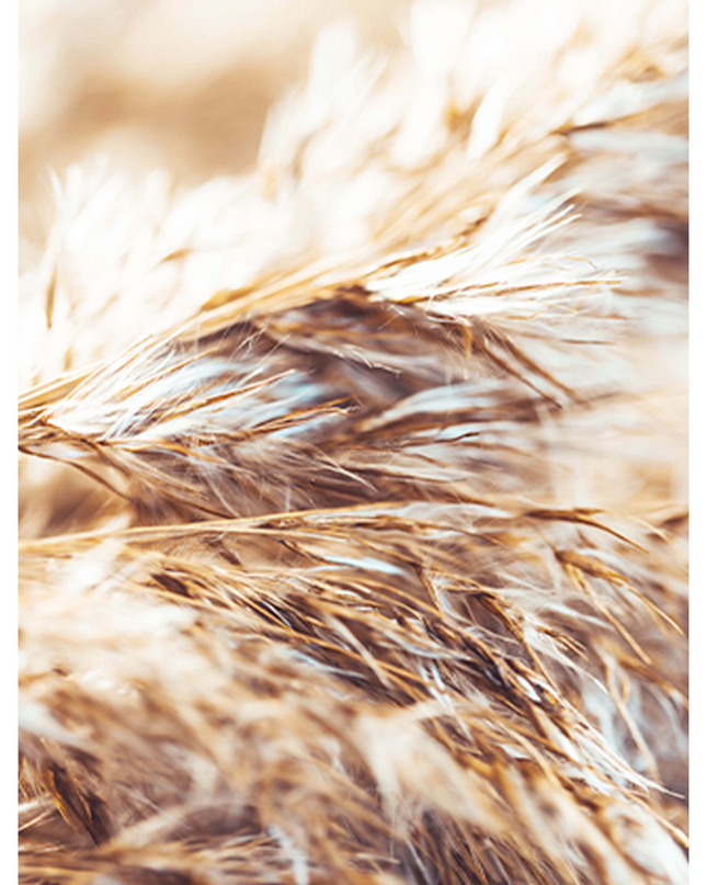 Breeze Poster