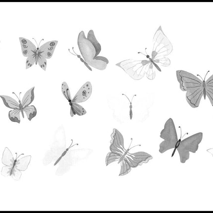 Butterflies Poster