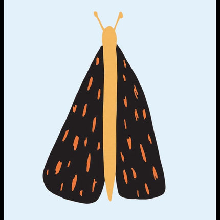 Butterfly Poster