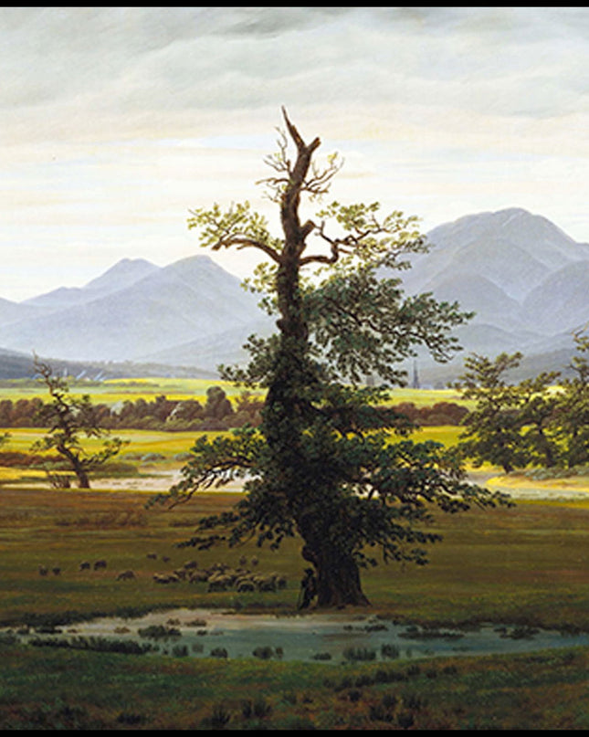 Caspar David Friedrich - Northern Landscape