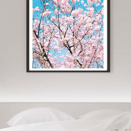 Cherry Blossom Flowers Poster