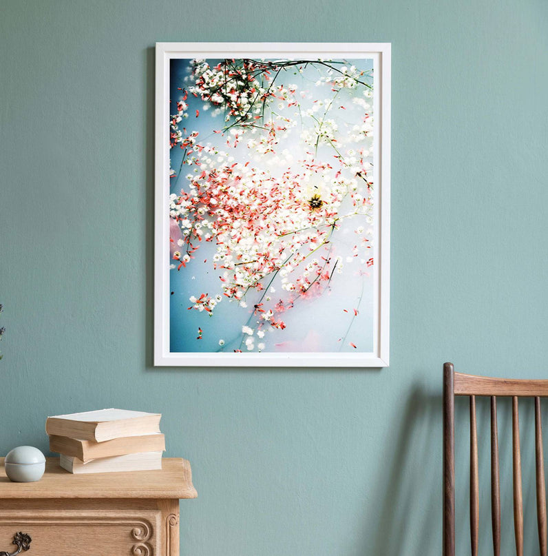 Cherry Blossom In Water Poster