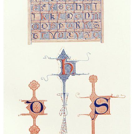 Copy of Henry Shaw - Alphabets numerals, and devices of the middle ages Pl. 08 Poster