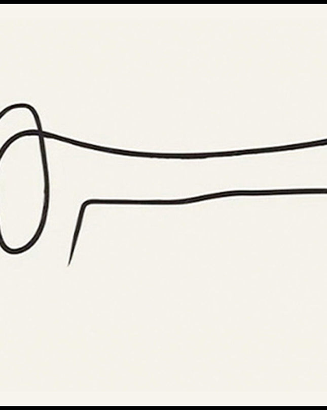Dachshund by Picasso