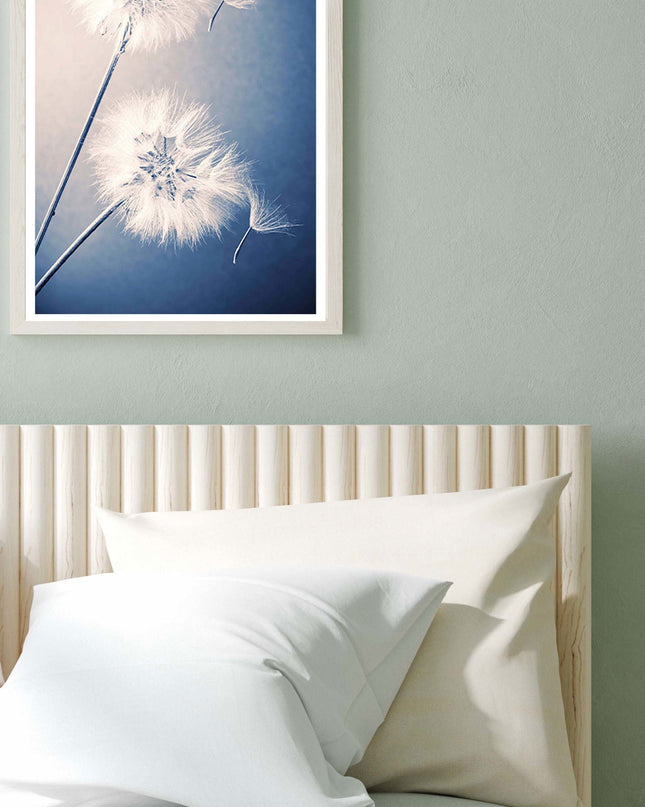 Dandelions Poster