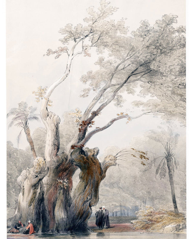 David Roberts - The Holy Tree of Metereah