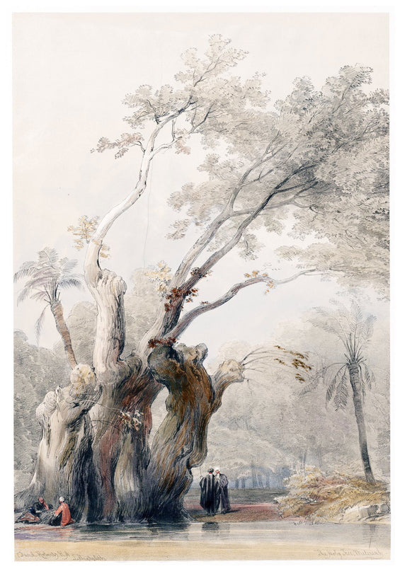 David Roberts - The Holy Tree of Metereah