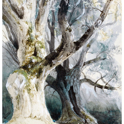 David Roberts - Trees in Northwick Park