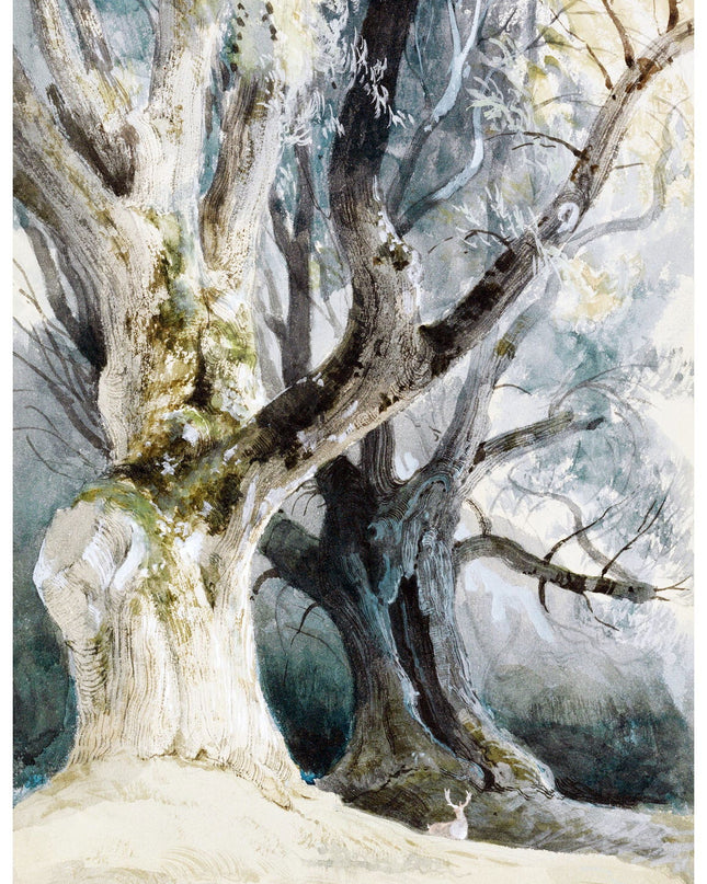 David Roberts - Trees in Northwick Park