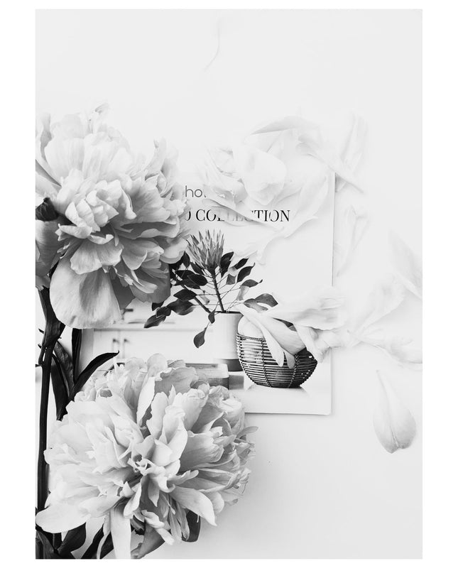 Dried Flowers Poster