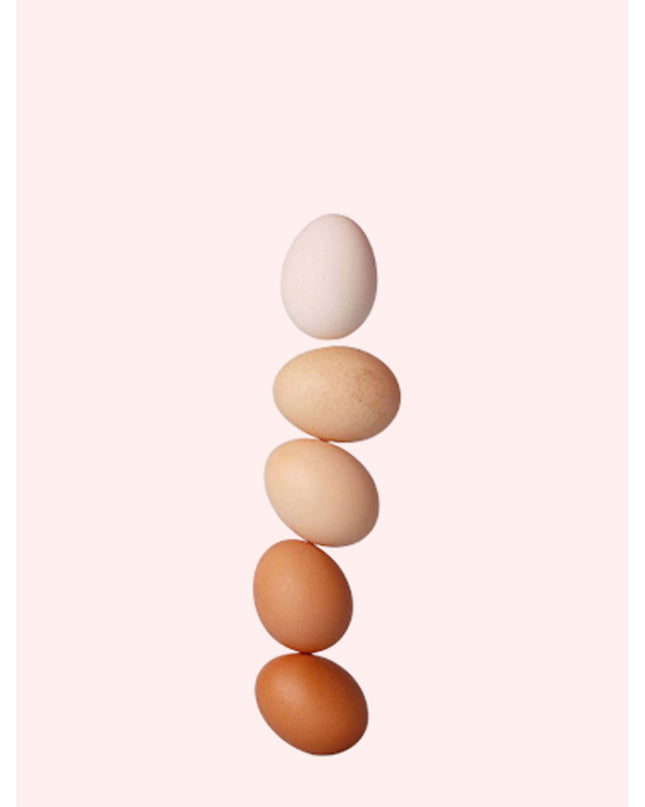 Eggs Poster