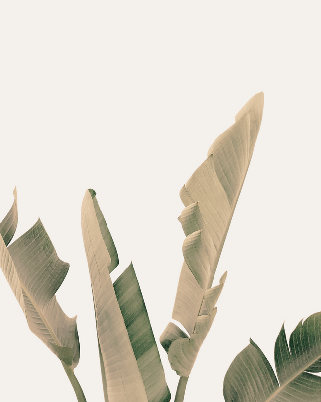 Etheral Leaves Poster
