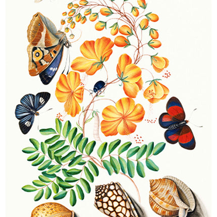 Flowers and Butterflies Poster